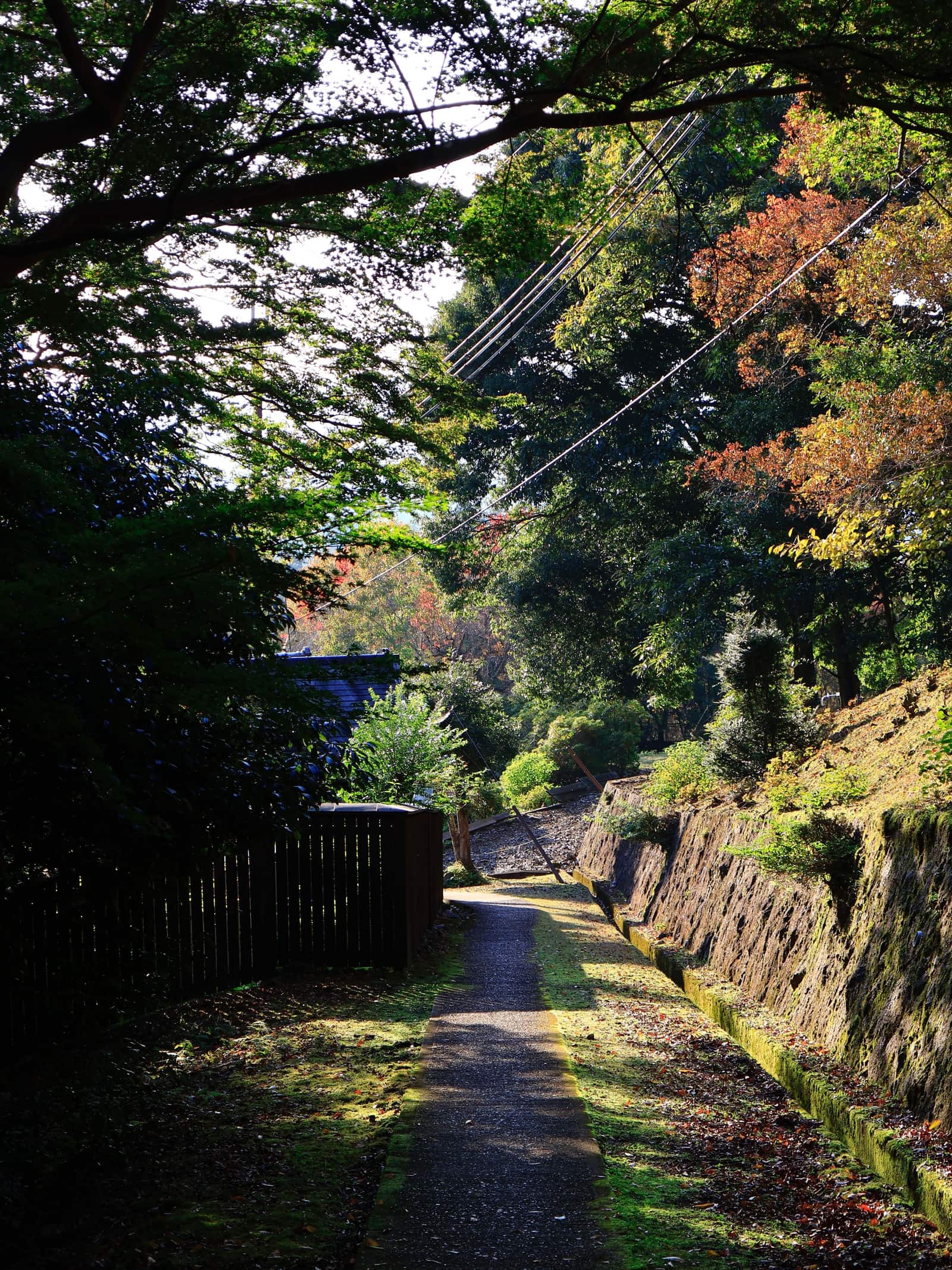 A narrow gravel path beside a mossy stone wall, running through autumn woodland.